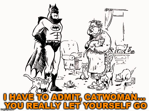 Catwoman became her name later in life. | I HAVE TO ADMIT, CATWOMAN... YOU REALLY LET YOURSELF GO | image tagged in memes,batman,catwoman,funny,let go,cats | made w/ Imgflip meme maker