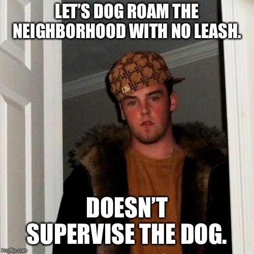 Scumbag Steve Meme | LET’S DOG ROAM THE NEIGHBORHOOD WITH NO LEASH. DOESN’T SUPERVISE THE DOG. | image tagged in memes,scumbag steve,AdviceAnimals | made w/ Imgflip meme maker
