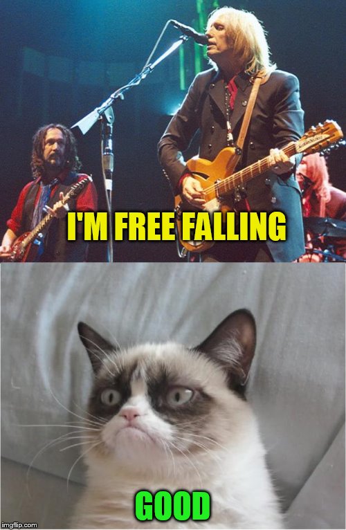 Free Fallin' Grumpy Cat | I'M FREE FALLING GOOD | image tagged in free fallin' grumpy cat | made w/ Imgflip meme maker
