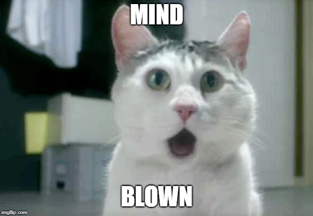 OMG Cat Meme | MIND BLOWN | image tagged in memes,omg cat | made w/ Imgflip meme maker