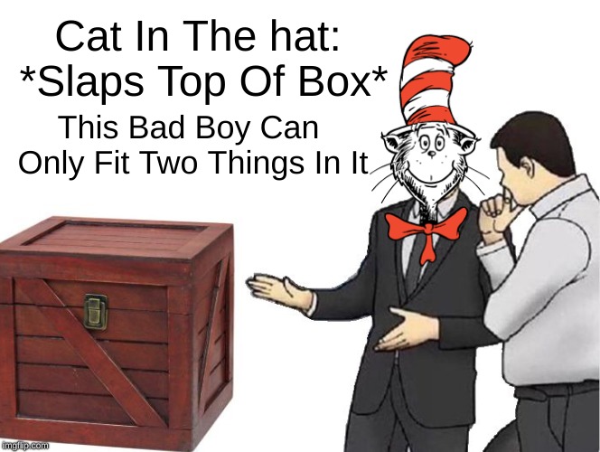 I'm Interested | Cat In The hat: *Slaps Top Of Box*; This Bad Boy Can Only Fit Two Things In It | image tagged in memes,car salesman slaps hood,funny,thing 1,thing 2,cat in the hat | made w/ Imgflip meme maker