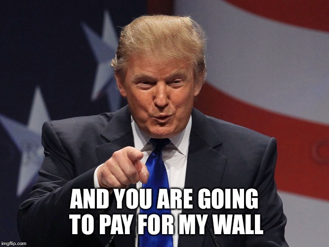 Donald Trump  | AND YOU ARE GOING TO PAY FOR MY WALL | image tagged in donald trump | made w/ Imgflip meme maker