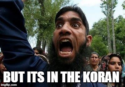 Angry Muslim | BUT ITS IN THE KORAN | image tagged in angry muslim | made w/ Imgflip meme maker