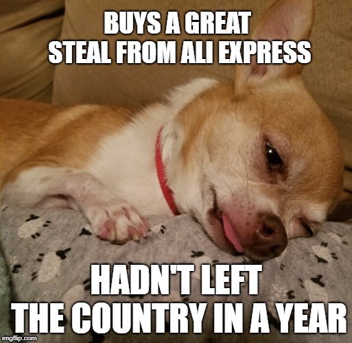 Depression Chihuahua | BUYS A GREAT STEAL FROM ALI EXPRESS; HADN'T LEFT THE COUNTRY IN A YEAR | image tagged in depressing meme week,chihuahua,sad,funny,funny memes | made w/ Imgflip meme maker