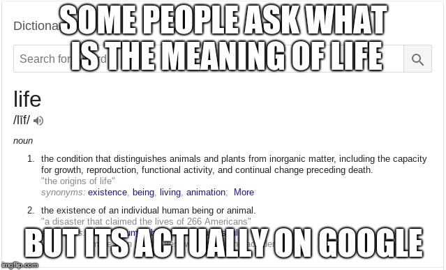 the meaning of life | SOME PEOPLE ASK WHAT IS THE MEANING OF LIFE; BUT ITS ACTUALLY ON GOOGLE | image tagged in google images,the meaning of life,definition | made w/ Imgflip meme maker