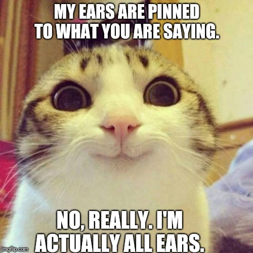 Smiling Cat Meme | MY EARS ARE PINNED TO WHAT YOU ARE SAYING. NO, REALLY. I'M ACTUALLY ALL EARS. | image tagged in memes,smiling cat | made w/ Imgflip meme maker