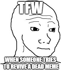 tfw no gf | TFW WHEN SOMEONE TRIES TO REVIVE A DEAD MEME | image tagged in tfw no gf | made w/ Imgflip meme maker
