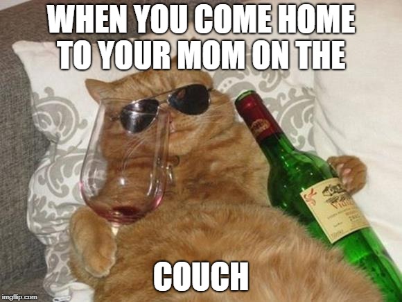 Funny Cat Birthday | WHEN YOU COME HOME TO YOUR MOM ON THE; COUCH | image tagged in funny cat birthday | made w/ Imgflip meme maker