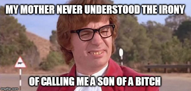 I had a rough childhood.  Either that, or I was a real terror.   | MY MOTHER NEVER UNDERSTOOD THE IRONY; OF CALLING ME A SON OF A BITCH | image tagged in austin powers dafuq,memes | made w/ Imgflip meme maker