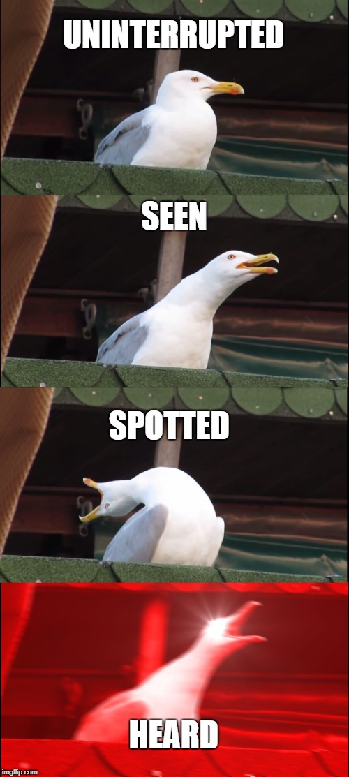 Inhaling Seagull | UNINTERRUPTED; SEEN; SPOTTED; HEARD | image tagged in memes,inhaling seagull | made w/ Imgflip meme maker