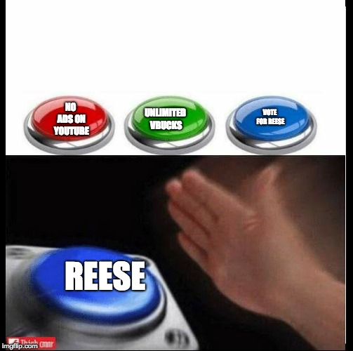 propaganda | NO ADS ON YOUTUBE; UNLIMITED VBUCKS; VOTE FOR REESE; REESE | image tagged in funny memes | made w/ Imgflip meme maker