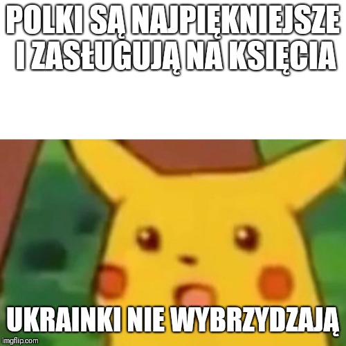 Surprised Pikachu Meme | POLKI SĄ NAJPIĘKNIEJSZE I ZASŁUGUJĄ NA KSIĘCIA; UKRAINKI NIE WYBRZYDZAJĄ | image tagged in memes,surprised pikachu | made w/ Imgflip meme maker