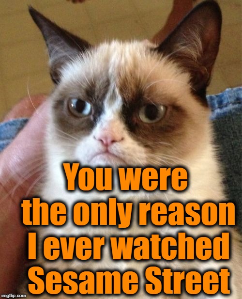 Grumpy Cat Meme | You were the only reason I ever watched Sesame Street | image tagged in memes,grumpy cat | made w/ Imgflip meme maker