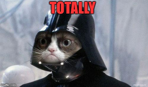 Grumpy Cat Star Wars Meme | TOTALLY | image tagged in memes,grumpy cat star wars,grumpy cat | made w/ Imgflip meme maker