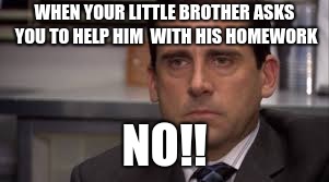 WHEN YOUR LITTLE BROTHER ASKS YOU TO HELP HIM  WITH HIS HOMEWORK; NO!! | image tagged in funny | made w/ Imgflip meme maker