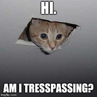 Ceiling Cat | HI. AM I TRESSPASSING? | image tagged in memes,ceiling cat | made w/ Imgflip meme maker
