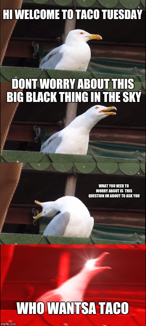 Inhaling Seagull | HI WELCOME TO TACO TUESDAY; DONT WORRY ABOUT THIS BIG BLACK THING IN THE SKY; WHAT YOU NEED TO WORRY ABOUT IS  THIS QUESTION IM ABOUT TO ASK YOU; WHO WANTSA TACO | image tagged in memes,inhaling seagull | made w/ Imgflip meme maker