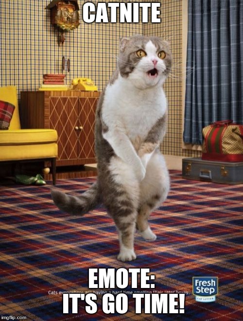 Gotta Go Cat | CATNITE; EMOTE: IT'S GO TIME! | image tagged in memes,gotta go cat | made w/ Imgflip meme maker