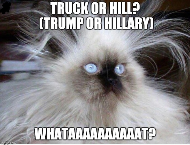 Frazzled over politics | TRUCK OR HILL? (TRUMP OR HILLARY); WHATAAAAAAAAAAT? | image tagged in frazzled over politics | made w/ Imgflip meme maker