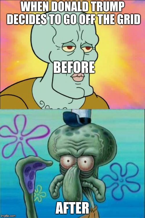 Squidward Meme | WHEN DONALD TRUMP DECIDES TO GO OFF THE GRID; BEFORE; AFTER | image tagged in memes,squidward | made w/ Imgflip meme maker