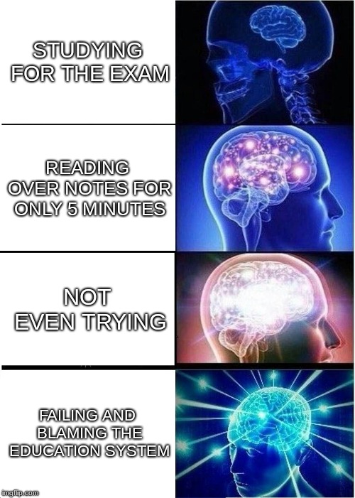 Expanding Brain Meme | STUDYING FOR THE EXAM; READING OVER NOTES FOR ONLY 5 MINUTES; NOT EVEN TRYING; FAILING AND BLAMING THE EDUCATION SYSTEM | image tagged in memes,expanding brain | made w/ Imgflip meme maker
