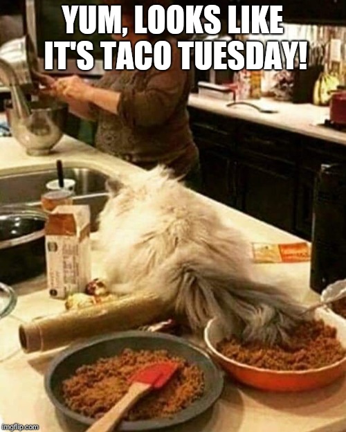 Everyday that starts with a T is taco day.
Today, tomorrow. | YUM, LOOKS LIKE IT'S TACO TUESDAY! | image tagged in taco tuesday | made w/ Imgflip meme maker