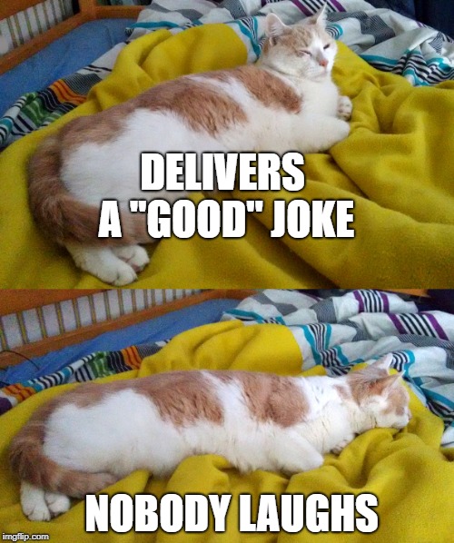 DELIVERS A "GOOD" JOKE; NOBODY LAUGHS | image tagged in x tells a good joke | made w/ Imgflip meme maker
