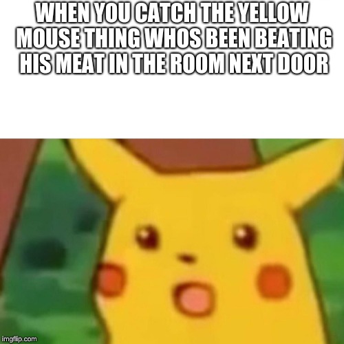 Surprised Pikachu | WHEN YOU CATCH THE YELLOW MOUSE THING WHOS BEEN BEATING HIS MEAT IN THE ROOM NEXT DOOR | image tagged in memes,surprised pikachu | made w/ Imgflip meme maker