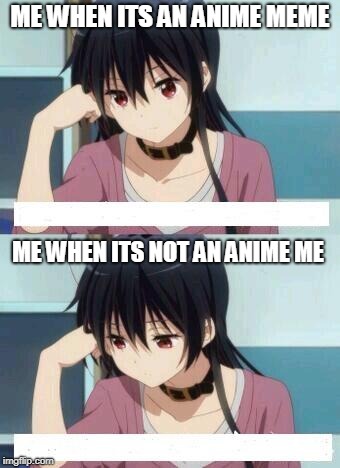 Anime Meme | ME WHEN ITS AN ANIME MEME; ME WHEN ITS NOT AN ANIME ME | image tagged in anime meme | made w/ Imgflip meme maker