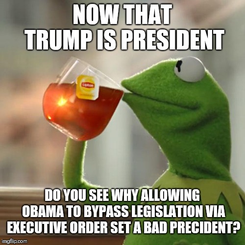 If one side can do it, so can the other once that are in power | NOW THAT TRUMP IS PRESIDENT; DO YOU SEE WHY ALLOWING OBAMA TO BYPASS LEGISLATION VIA EXECUTIVE ORDER SET A BAD PRECIDENT? | image tagged in memes,but thats none of my business,kermit the frog | made w/ Imgflip meme maker