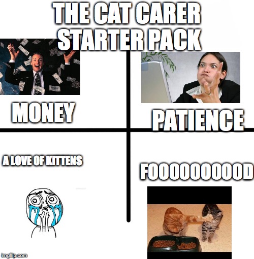 Blank Starter Pack | THE CAT CARER STARTER PACK; MONEY; PATIENCE; FOOOOOOOOOD; A LOVE OF KITTENS | image tagged in memes,blank starter pack | made w/ Imgflip meme maker