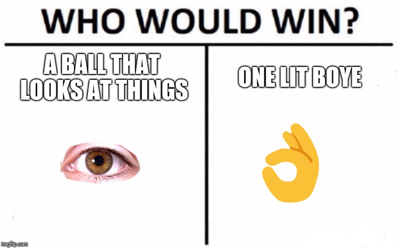 Who Would Win? Meme | A BALL THAT LOOKS AT THINGS; ONE LIT BOYE | image tagged in memes,who would win | made w/ Imgflip meme maker