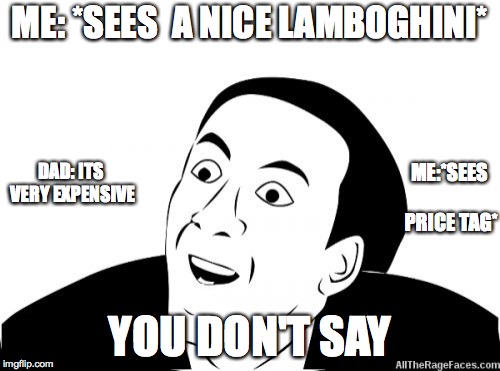 You Dont Say | ME: *SEES  A NICE LAMBOGHINI*; ME:*SEES PRICE TAG*; DAD: ITS VERY EXPENSIVE; YOU DON'T SAY | image tagged in you dont say | made w/ Imgflip meme maker
