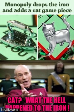 CAT?   WHAT THE HELL HAPPENED TO THE IRON ! | image tagged in memes,picard wtf | made w/ Imgflip meme maker