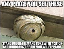 Pokemon | image tagged in lol,pokemon,funny,wasp,hornet | made w/ Imgflip meme maker