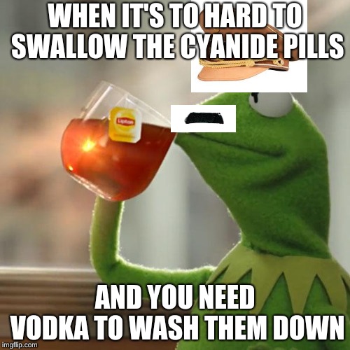 But That's None Of My Business | WHEN IT'S TO HARD TO SWALLOW THE CYANIDE PILLS; AND YOU NEED VODKA TO WASH THEM DOWN | image tagged in memes,but thats none of my business,kermit the frog | made w/ Imgflip meme maker