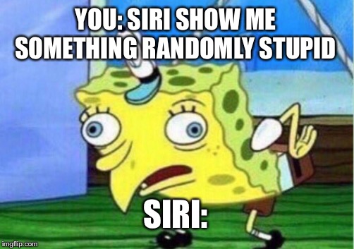 Mocking Spongebob | YOU: SIRI SHOW ME SOMETHING RANDOMLY STUPID; SIRI: | image tagged in memes,mocking spongebob | made w/ Imgflip meme maker