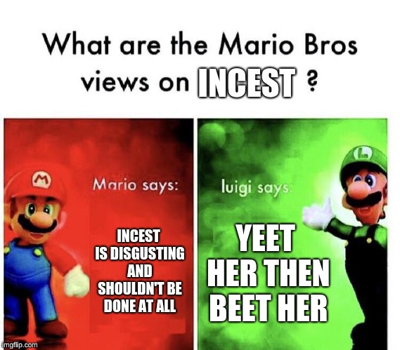 Mario Bros Views | INCEST; INCEST IS DISGUSTING AND SHOULDN'T BE DONE AT ALL; YEET HER THEN BEET HER | image tagged in mario bros views | made w/ Imgflip meme maker