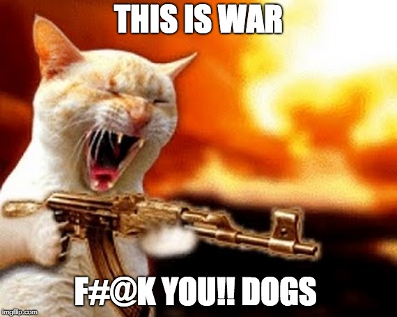 machine gun cat |  THIS IS WAR; F#@K YOU!! DOGS | image tagged in machine gun cat | made w/ Imgflip meme maker