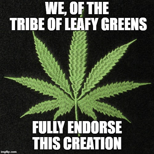 WE, OF THE TRIBE OF LEAFY GREENS; FULLY ENDORSE THIS CREATION | image tagged in pot,marijuana,on weed | made w/ Imgflip meme maker