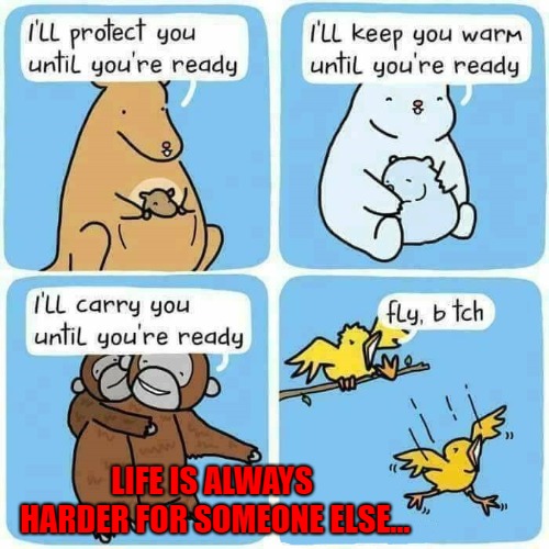 Better start flappin' birdie!!! | LIFE IS ALWAYS HARDER FOR SOMEONE ELSE... | image tagged in learning to fly,memes,sheltered,funny,life lessons,reality | made w/ Imgflip meme maker
