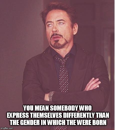 Face You Make Robert Downey Jr Meme | YOU MEAN SOMEBODY WHO EXPRESS THEMSELVES DIFFERENTLY THAN THE GENDER IN WHICH THE WERE BORN | image tagged in memes,face you make robert downey jr | made w/ Imgflip meme maker