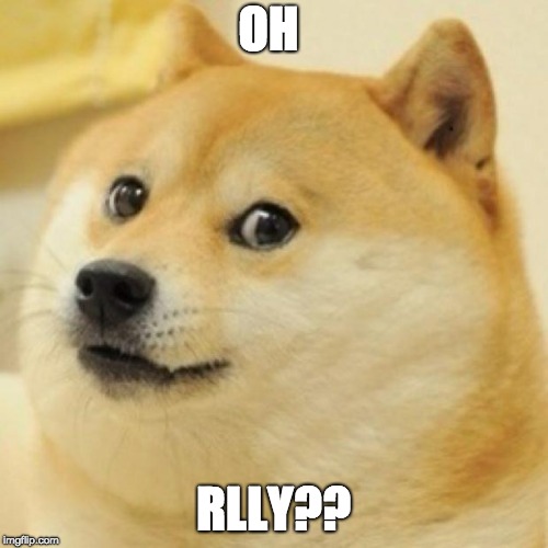 wow doge | OH RLLY?? | image tagged in wow doge | made w/ Imgflip meme maker