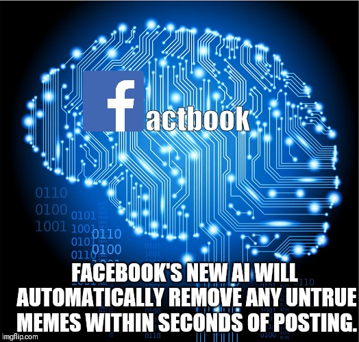 The Internet Never Lies | actbook; FACEBOOK'S NEW AI WILL AUTOMATICALLY REMOVE ANY UNTRUE MEMES WITHIN SECONDS OF POSTING. | image tagged in lies,facebook,idiots | made w/ Imgflip meme maker