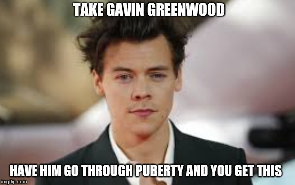 Finally Someone gets a Life | TAKE GAVIN GREENWOOD; HAVE HIM GO THROUGH PUBERTY AND YOU GET THIS | image tagged in gavinthelesbian,one direction | made w/ Imgflip meme maker