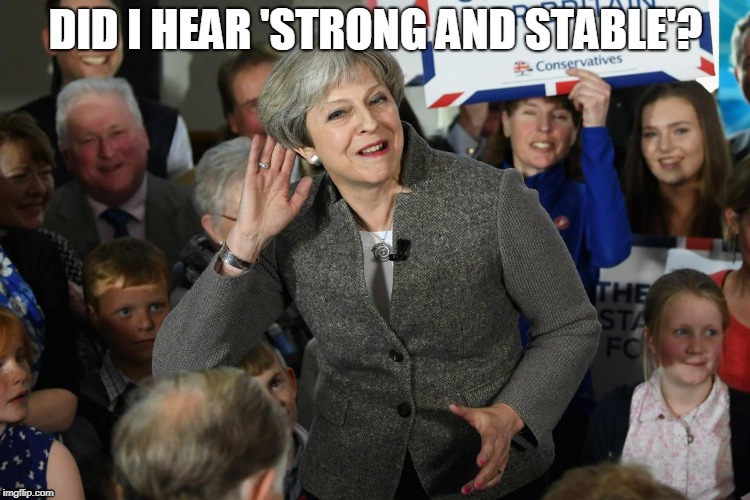 Theresa May | DID I HEAR 'STRONG AND STABLE'? | image tagged in theresa may | made w/ Imgflip meme maker