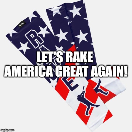 Rake | LET'S RAKE AMERICA GREAT AGAIN! | image tagged in rake | made w/ Imgflip meme maker