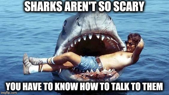 They wouldn't let my comfort animal on the plane | SHARKS AREN'T SO SCARY; YOU HAVE TO KNOW HOW TO TALK TO THEM | image tagged in pet shark,i too like to live dangerously,predator,delicious,humans,bathtub | made w/ Imgflip meme maker