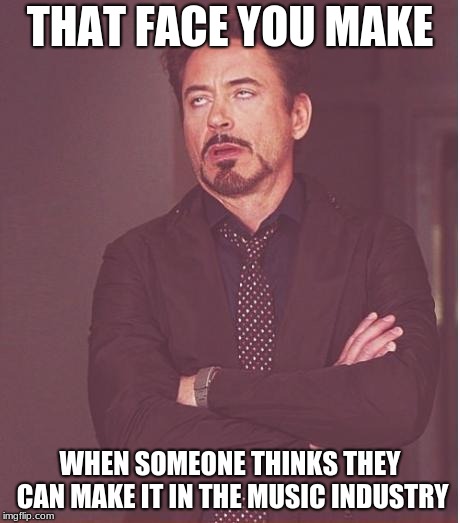 Face You Make Robert Downey Jr Meme | THAT FACE YOU MAKE; WHEN SOMEONE THINKS THEY CAN MAKE IT IN THE MUSIC INDUSTRY | image tagged in memes,face you make robert downey jr | made w/ Imgflip meme maker