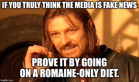 One Does Not Simply Meme | IF YOU TRULY THINK THE MEDIA IS FAKE NEWS; PROVE IT BY GOING ON A ROMAINE-ONLY DIET. | image tagged in memes,one does not simply | made w/ Imgflip meme maker